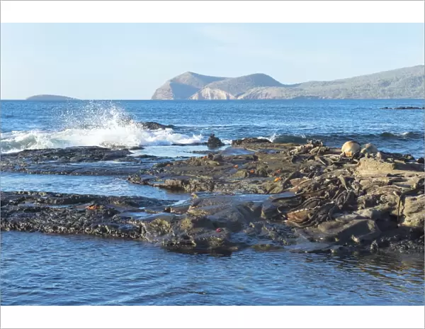 Waves breaking on the coast of Puerto Egas, Santiago Island, Galapagos, UNESCO World Heritage Site, Ecuador, South America