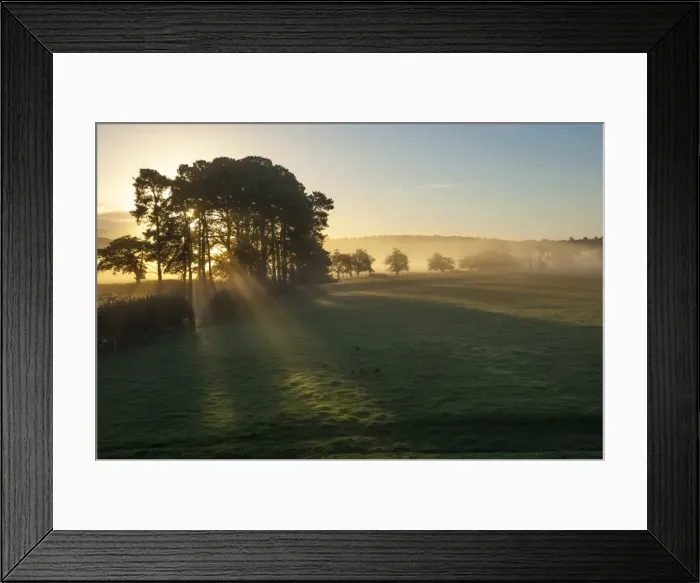 Framed Print : Early morning by Eden Bridge, Eden Valley, Cumbria, England, United Kingdom, Europe Framed Print : Early morning by Eden Bridge, Eden Valley, Cumbria, England, United Kingdom, Europe