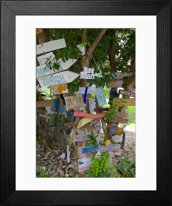 Framed Print : Signs on tree at Mama Pastas, Long Bay, Antigua, Leeward Islands, West Indies, Caribbean, Central America Framed Print : Signs on tree at Mama Pastas, Long Bay, Antigua, Leeward Islands, West Indies, Caribbean, Central America