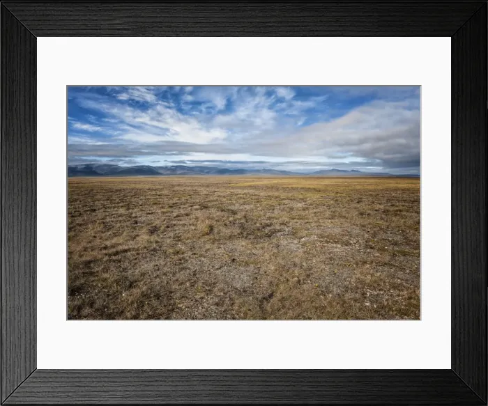 Framed Print : Tundra, Wrangel Island, UNESCO World Heritage Site, Chukotka, Russian Far East, Eurasia Framed Print : Tundra, Wrangel Island, UNESCO World Heritage Site, Chukotka, Russian Far East, Eurasia