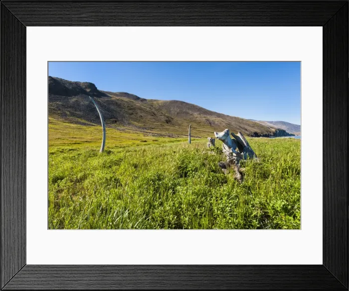 Framed Print : Whale Bone Alley, Ittygran Island, Chukotka, Russia, Eurasia