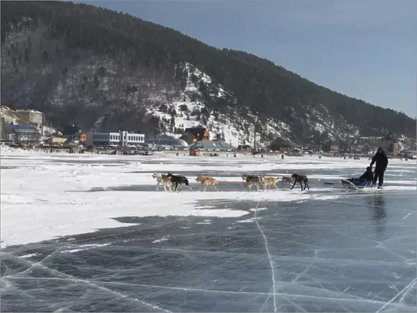 Visitors enjoying dog sledding on the ice in front of the village of Listvyanka, Irkutsk Oblast, Siberia, Russia, Eurasia