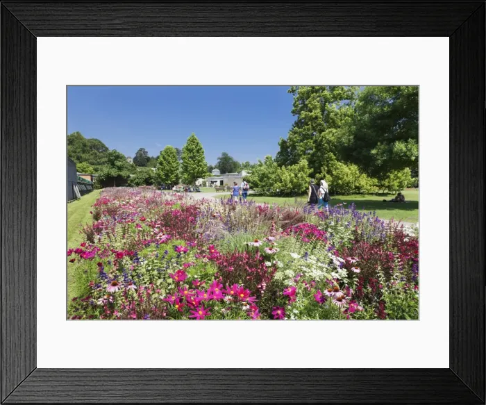 Framed Print : Wilhelma Zoo and Botanical Gardens, Stuttgart, Baden Wurttemberg, Germany, Europe Framed Print : Wilhelma Zoo and Botanical Gardens, Stuttgart, Baden Wurttemberg, Germany, Europe