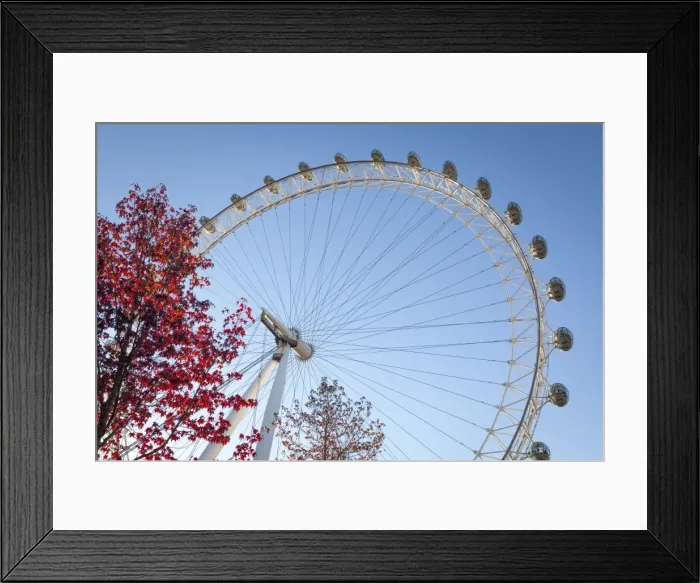 Framed Print : The London Eye on a bright sunny day, London, England, United Kingdom, Europe Framed Print : The London Eye on a bright sunny day, London, England, United Kingdom, Europe