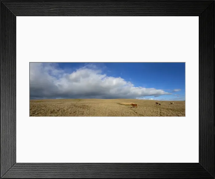 Framed Print : Panoramic view, The Epynt, Cambrian Mountains, Powys, Wales, United Kingdom, Europe Framed Print : Panoramic view, The Epynt, Cambrian Mountains, Powys, Wales, United Kingdom, Europe