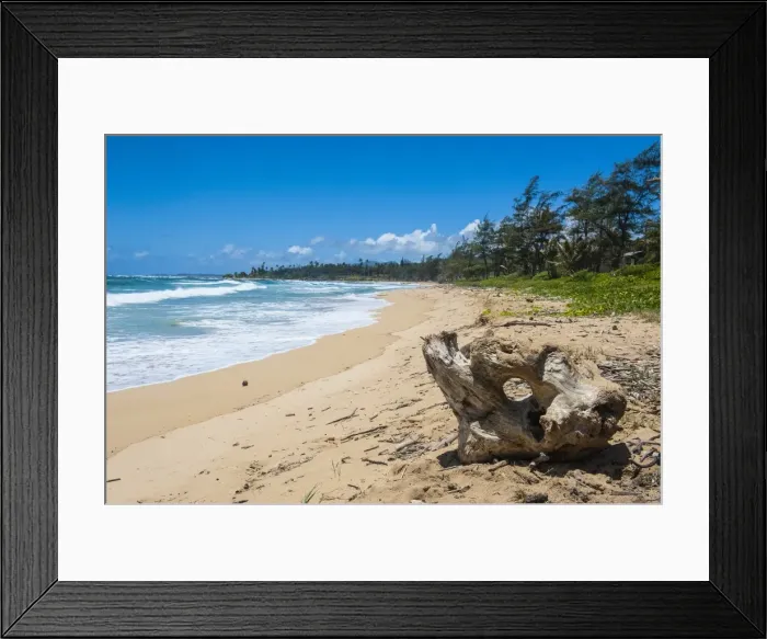Framed Print : Sandy beach on Kapaa Beach Park on the island of Kauai, Hawaii, United States of America, Pacific Framed Print : Sandy beach on Kapaa Beach Park on the island of Kauai, Hawaii, United States of America, Pacific