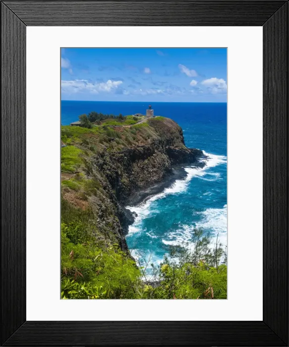 Framed Print : Kilauea Point National Wildlife Refuge on the island of Kauai, Hawaii, United States of America, Pacific Framed Print : Kilauea Point National Wildlife Refuge on the island of Kauai, Hawaii, United States of America, Pacific
