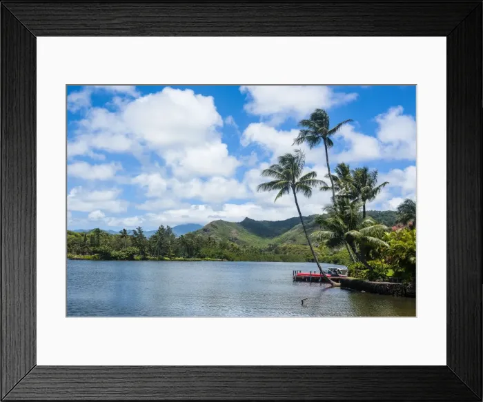 Framed Print : Wailua River. Kauai, Hawaii, United States of America, Pacific Framed Print : Wailua River. Kauai, Hawaii, United States of America, Pacific
