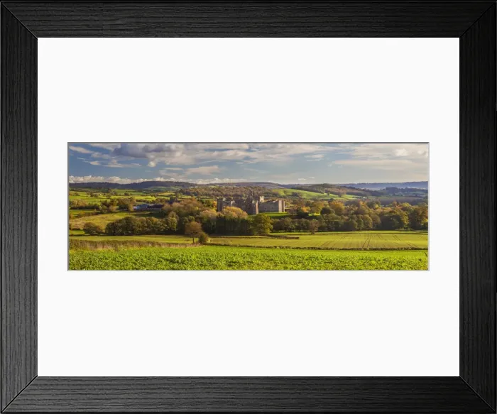Framed Print : Raglan Castle, Monmouthshire, Wales, United Kingdom, Europe Framed Print : Raglan Castle, Monmouthshire, Wales, United Kingdom, Europe