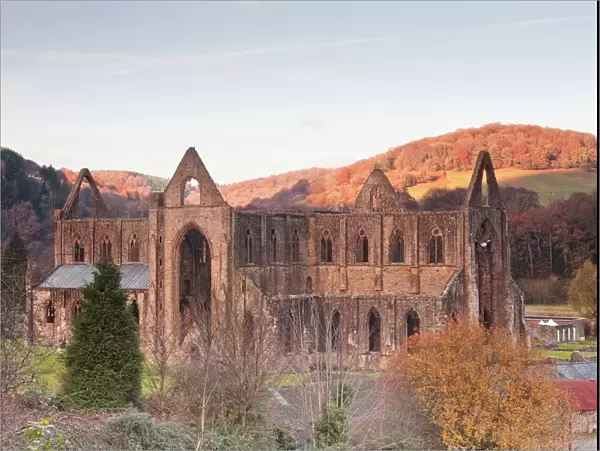 Tintern Abbey, founded by Walter de Clare, Lord of Chepstow, in 1131, Tintern, Monmouthshire, Wales, United Kingdom, Europe