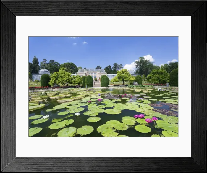 Framed Print : Moorish Garden with water lilies (genus Nymphaea), Wilhelma, Zoo and Botanical Garden, Stuttgart, Baden Wurttemberg, Germany, Europe Framed Print : Moorish Garden with water lilies (genus Nymphaea), Wilhelma, Zoo and Botanical Garden, Stuttgart, Baden Wurttemberg, Germany, Europe