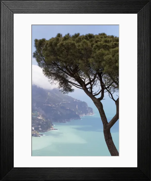 Framed Print : Umbrella pine and the Amalfi Coast from Villa Rofolo in Ravello, Amalfi Coast (Costiera Amalfitana), UNESCO World Heritage Site, Campania, Italy, Mediterranean, Europe Framed Print : Umbrella pine and the Amalfi Coast from Villa Rofolo in Ravello, Amalfi Coast (Costiera Amalfitana), UNESCO World Heritage Site, Campania, Italy, Mediterranean, Europe