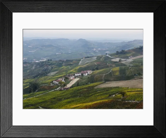 Framed Print : Vineyards near La Morra, Langhe, Cuneo district, Piedmont, Italy, Europe Framed Print : Vineyards near La Morra, Langhe, Cuneo district, Piedmont, Italy, Europe
