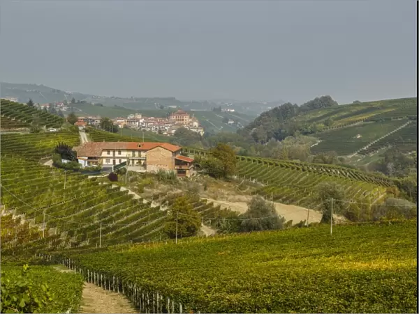 View over Barolo village and vineyards, Langhe, Cuneo district, Piedmont, Italy, Europe