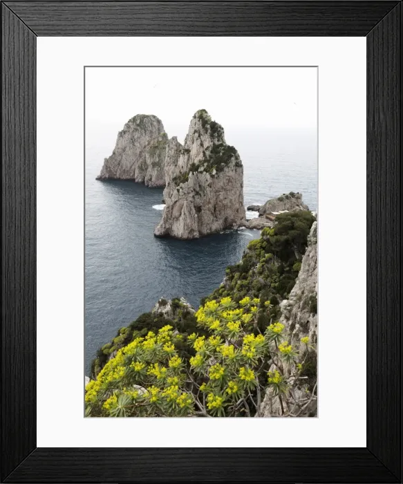 Framed Print : The rugged Faraglioni rocks in Capri, Campania, Italy, Mediterranean, Europe Framed Print : The rugged Faraglioni rocks in Capri, Campania, Italy, Mediterranean, Europe