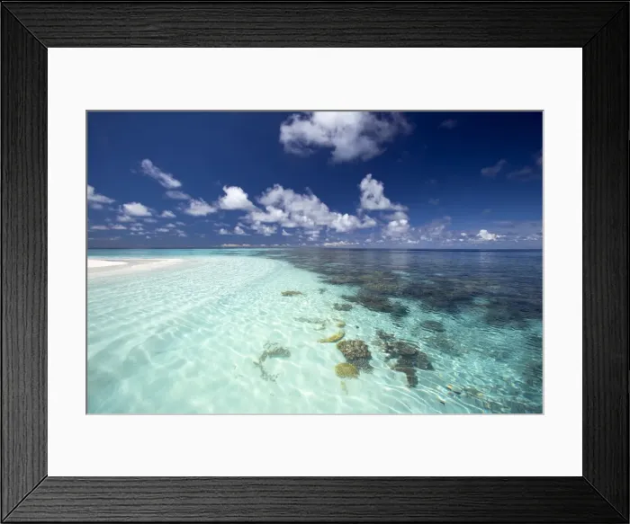 Framed Print : Tropical lagoon and coral reef, Baa Atoll, Maldives, Indian Ocean, Asia Framed Print : Tropical lagoon and coral reef, Baa Atoll, Maldives, Indian Ocean, Asia