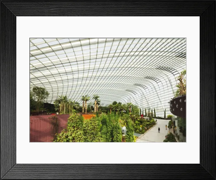 Framed Print : Gardens by the Bay, Flower Garden, botanic gardens, Singapore, Southeast Asia, Asia Framed Print : Gardens by the Bay, Flower Garden, botanic gardens, Singapore, Southeast Asia, Asia