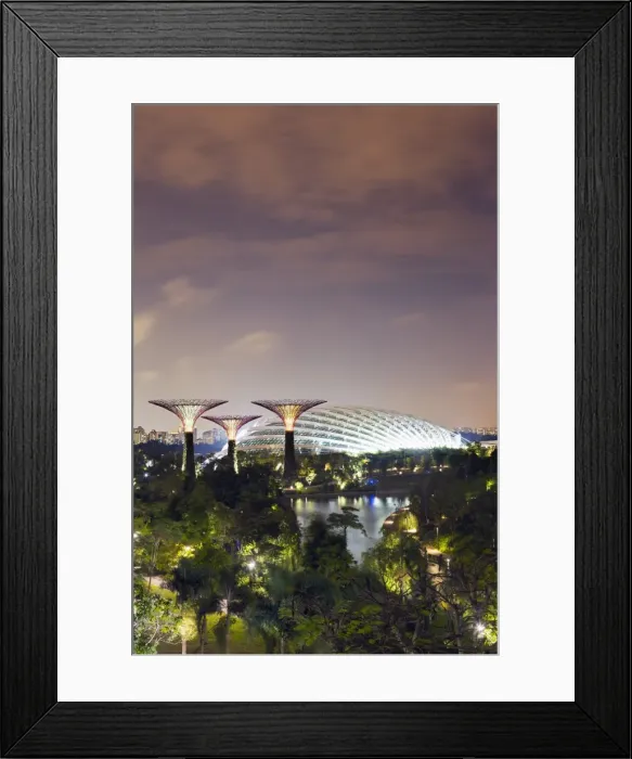 Framed Print : Gardens by the Bay Cloud Forest Botanic Garden, Singapore, Southeast Asia, Asia Framed Print : Gardens by the Bay Cloud Forest Botanic Garden, Singapore, Southeast Asia, Asia