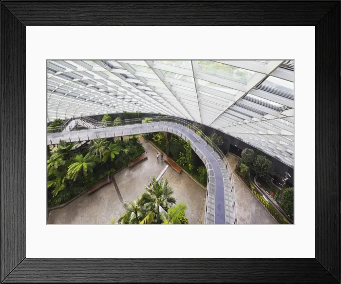 Framed Print : Canopy walkway, Gardens by the Bay, Cloud Forest, botanic garden, Singapore, Southeast Asia, Asia Framed Print : Canopy walkway, Gardens by the Bay, Cloud Forest, botanic garden, Singapore, Southeast Asia, Asia