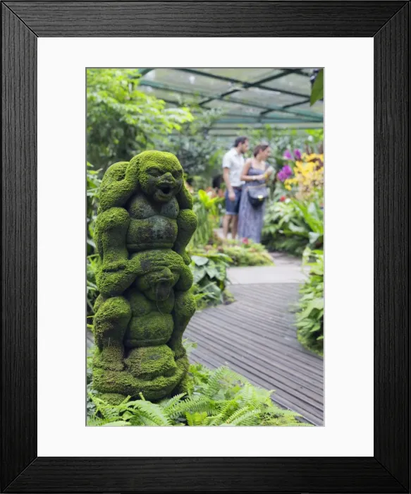 Framed Print : Botanic Gardens, Singapore, Southeast Asia, Asia Framed Print : Botanic Gardens, Singapore, Southeast Asia, Asia