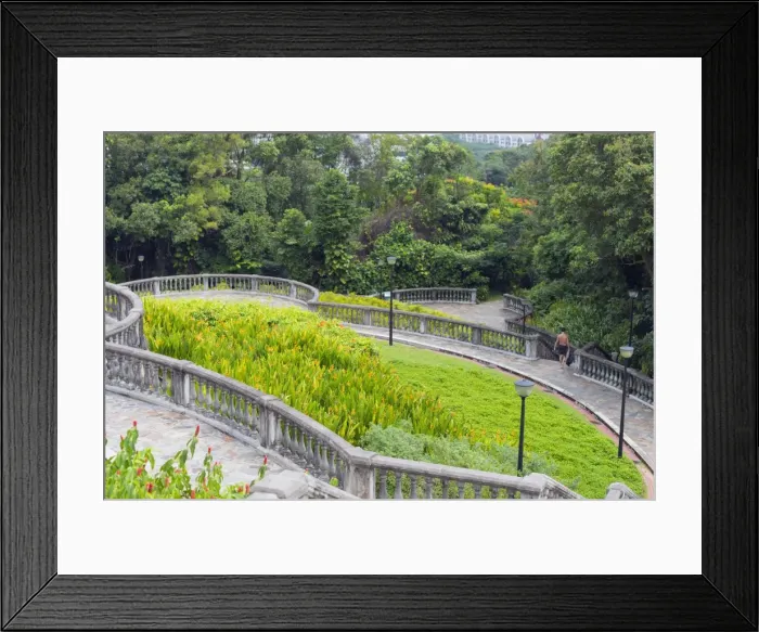Framed Print : Terrace Garden, Southern Ridges, Singapore, Southeast Asia, Asia Framed Print : Terrace Garden, Southern Ridges, Singapore, Southeast Asia, Asia