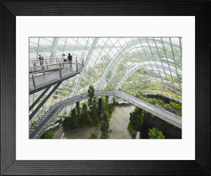Framed Print : Canopy walkway, Gardens by the Bay, Cloud Forest, botanic garden, Singapore, Southeast Asia, Asia Framed Print : Canopy walkway, Gardens by the Bay, Cloud Forest, botanic garden, Singapore, Southeast Asia, Asia