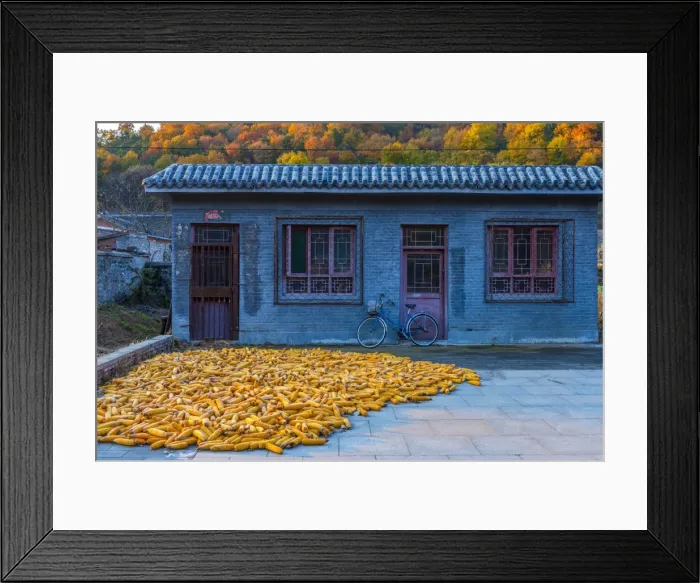 Framed Print : Maize (corn) drying, Gubeikou, Miyun County, Beijing Municipality, China, Asia Framed Print : Maize (corn) drying, Gubeikou, Miyun County, Beijing Municipality, China, Asia