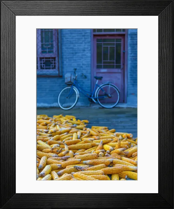 Framed Print : Maize (corn) drying, Gubeikou, Miyun County, Beijing Municipality, China, Asia