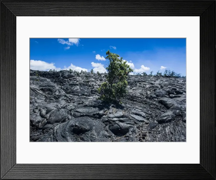 Framed Print : Volcanic lava stream in the Hawaii Volcanoes National Park, UNESCO World Heritage Site, Big Island, Hawaii, United States of America, Pacific Framed Print : Volcanic lava stream in the Hawaii Volcanoes National Park, UNESCO World Heritage Site, Big Island, Hawaii, United States of America, Pacific