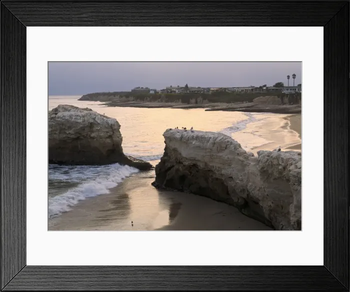 Framed Print : Natural Bridges State Park, Santa Cruz, California, United States of America, North America Framed Print : Natural Bridges State Park, Santa Cruz, California, United States of America, North America