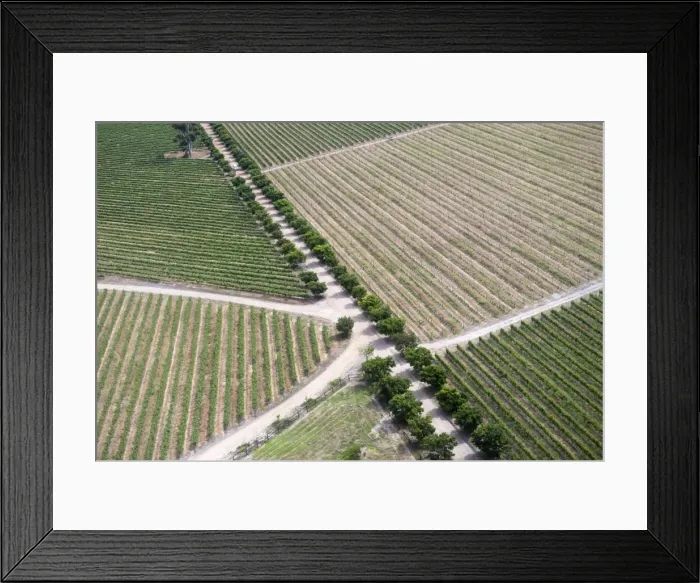 Framed Print : Aerial view of vineyards near Hermanus and Walker Bay, Overberg, Western Cape, South Africa, Africa Framed Print : Aerial view of vineyards near Hermanus and Walker Bay, Overberg, Western Cape, South Africa, Africa