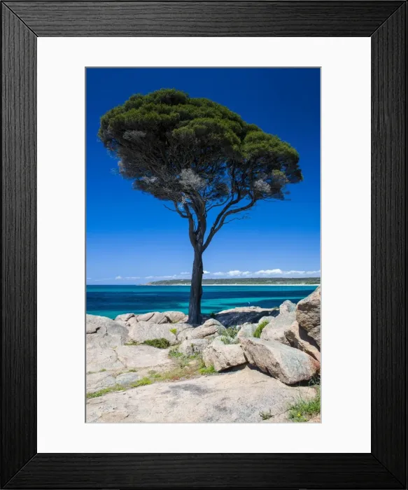Framed Print : Rocky cliffs on Shelley Cove near Eagle Bay, Western Australia, Australia, Pacific Framed Print : Rocky cliffs on Shelley Cove near Eagle Bay, Western Australia, Australia, Pacific