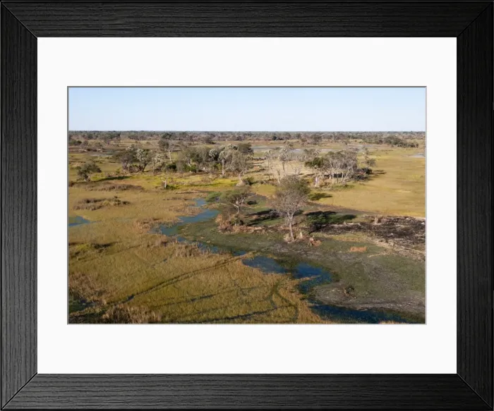 Framed Print : Aerial view of Okavango Delta, Botswana, Africa Framed Print : Aerial view of Okavango Delta, Botswana, Africa