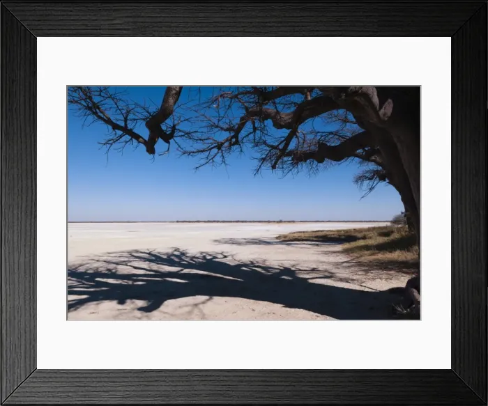 Framed Print : Baines baobabs, Kudiakam Pan, Nxai Pan National Park, Botswana, Africa Framed Print : Baines baobabs, Kudiakam Pan, Nxai Pan National Park, Botswana, Africa