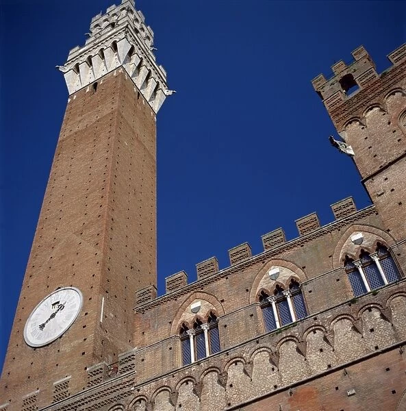13th to 14th century Gothic style Town Hall with the Torre del Mangia
