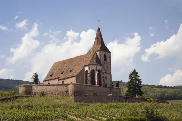 Framed Print : The 15th century fortified church of St. Jacques and Grand Cru vineyards on the Alsation wine route Framed Print : The 15th century fortified church of St. Jacques and Grand Cru vineyards on the Alsation wine route
