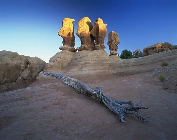321-4184. Sculptured rock formations, Devils Garden