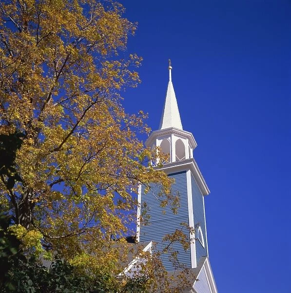 485-2595. Trees in fall colours and wooden church spire at Wiscasset