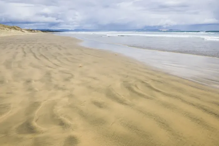 Framed Print : 90 Mile Beach, Northland, North Island, New Zealand, Pacific Framed Print : 90 Mile Beach, Northland, North Island, New Zealand, Pacific