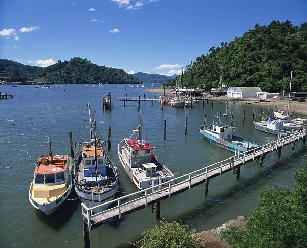 A. S. Echo and pleasure craft in Picton Harbour at
