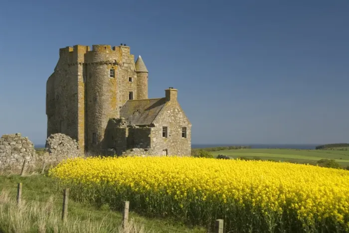 Framed Print : Abandoned castle in a field of rapeseed, near Banff, Scotland, United Kingdom, Europe Framed Print : Abandoned castle in a field of rapeseed, near Banff, Scotland, United Kingdom, Europe