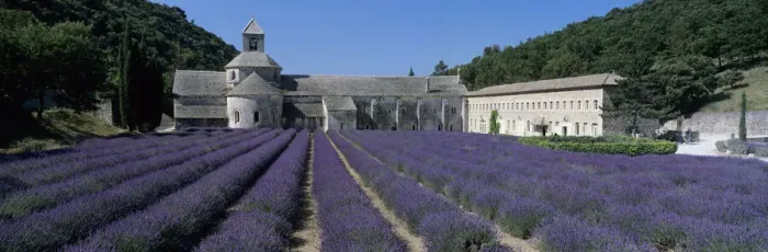 Framed Print : Abbaye de Senanque with purple lavender in foreground, Gordes, Vaucluse Department Framed Print : Abbaye de Senanque with purple lavender in foreground, Gordes, Vaucluse Department