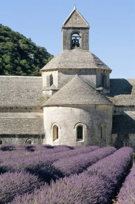 Framed Print : Abbaye de Senanque, Vaucluse, Provence, France, Europe Framed Print : Abbaye de Senanque, Vaucluse, Provence, France, Europe
