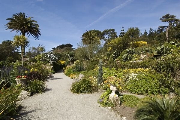 The Abbey Gardens, Tresco, Isles of Scilly, off Cornwall, United Kingdom, Europe