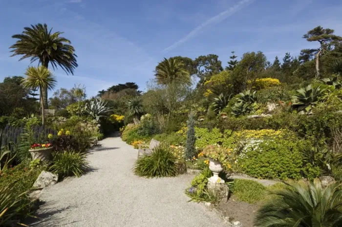 Framed Print : The Abbey Gardens, Tresco, Isles of Scilly, off Cornwall, United Kingdom, Europe Framed Print : The Abbey Gardens, Tresco, Isles of Scilly, off Cornwall, United Kingdom, Europe