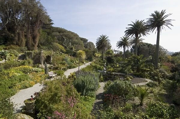 The Abbey Gardens, Tresco, Isles of Scilly, off Cornwall, United Kingdom, Europe