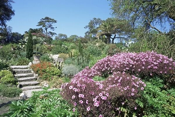 Abbey Gardens, Tresco, Scilly Isles, United Kingdom, Europe