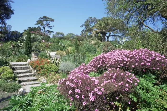 Framed Print : Abbey Gardens, Tresco, Scilly Isles, United Kingdom, Europe Framed Print : Abbey Gardens, Tresco, Scilly Isles, United Kingdom, Europe