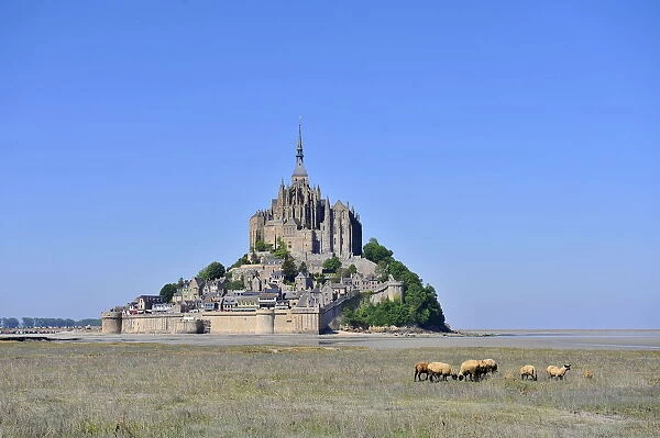 Abbey of Mont Saint-Michel, UNESCO World Heritage Site, Normandy, France, Europe