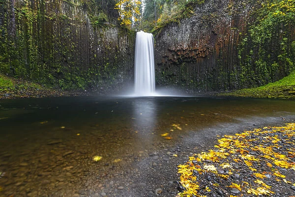 Abiqua Falls in autumn, Scotts Mills, Marion county, Oregon, United States of America